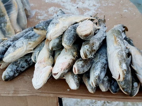 Этот день, 5 марта, в истории Сахалинской области: зарегистрирован Южно-Сахалинский рыбозавод