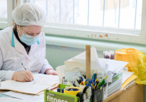 Как пояснили в Социальном фонде России, новая выплата введена специально для медработников постановлением Правительства РФ с января 2023 года