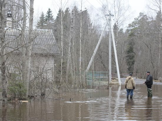 Весеннее половодье: как в Новгородской области готовятся к таянию рекордных объемов снега