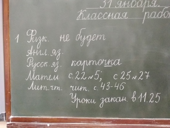Из-за вирусов 13 классов в школах Орловской области отправили на карантин