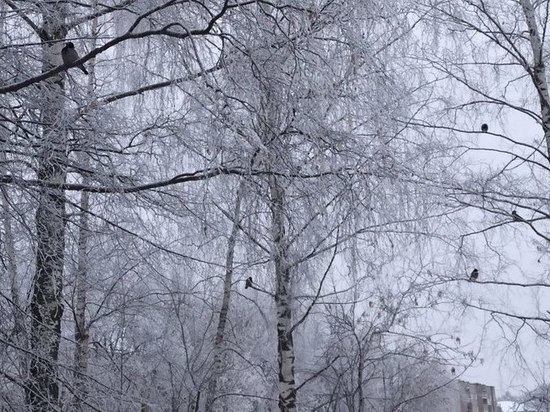На Орловскую область обрушился шквалистый ветер и мокрый снег