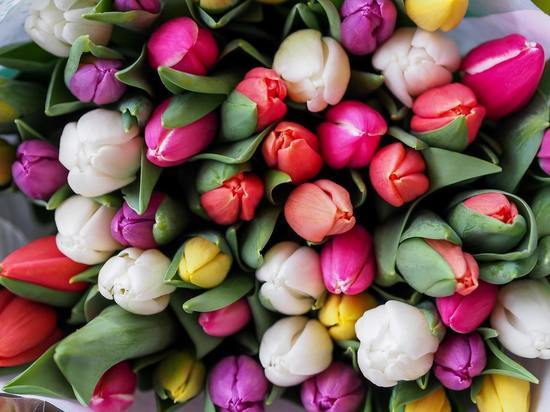 Почти 750 тыс. тюльпанов зацвели на Сахалине в 2023 году