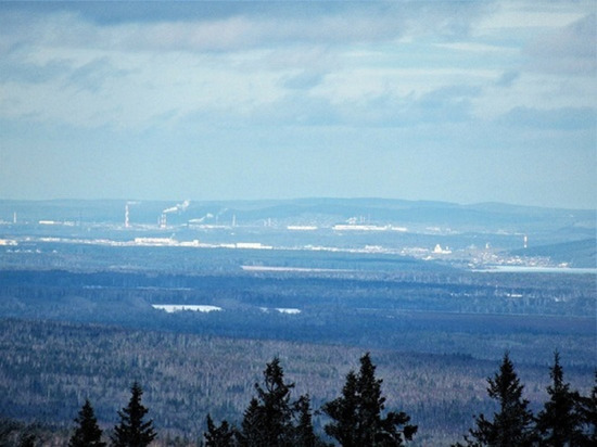 384 млн рублей направят на охрану свердловских лесов от пожаров