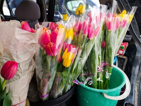 В Омске студент лишился денег при попытке заработать на продаже тюльпанов