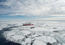 Ученые бьют тревогу: антарктический морской лед достигает самого низкого уровня за всю историю наблюдений