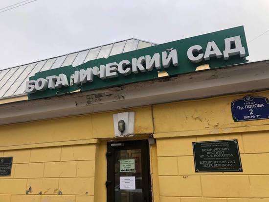 Продажа электронных билетов в Ботанический сад Петра Великого недоступна 5 марта
