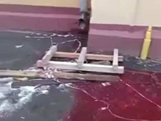 Красные лужи во дворе дома напугали подольчан