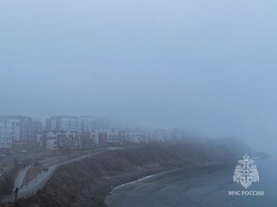 Жителям Приморья напомнили правила поведения при тумане