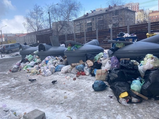 Новосибирцы пожаловались на кучи мусора на Дуси Ковальчук