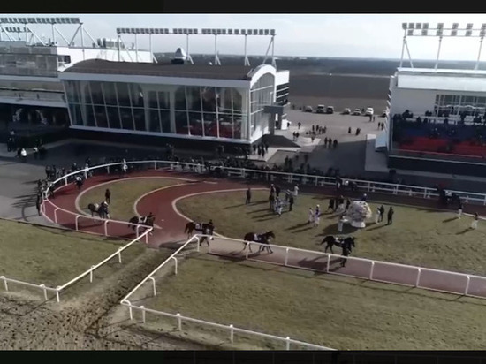 В Грозном заезд на скачках посвятили бракосочетанию сына Рамзана Кадырова