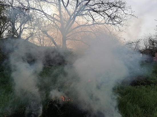 В Калининградской области на тушение мусорного пожара 5 марта выезжали 22 спасателя