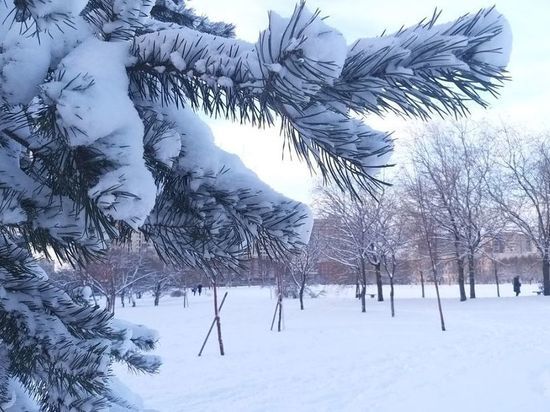 В центре Петербурга в воскресенье выпало 12 сантиметров снега