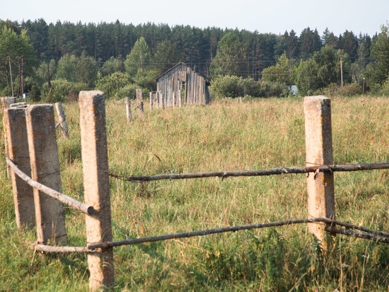 В Тверской области Россельхознадзором выявлено свыше 230 гектаров неиспользуемых сельхозугодий