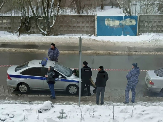В Домодедово задержан мужчина в камуфляже с гранатой Ф-1