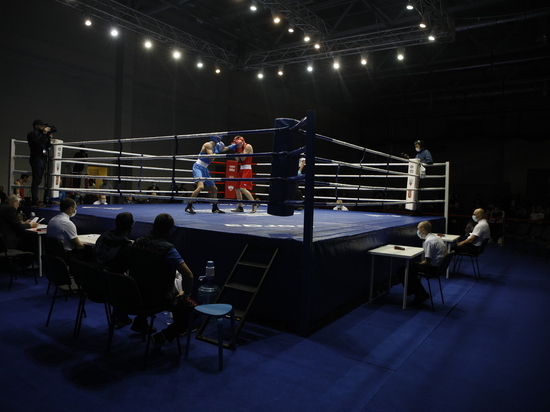 Новгородские спортсмены завоевали 32 медали на межрегиональном турнире по боксу