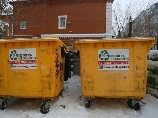 Бывший мусорный регоператор «Экология Новосибирск» признан банкротом