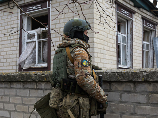 Советник Пушилина Гагин: Украина не способна на контрнаступление