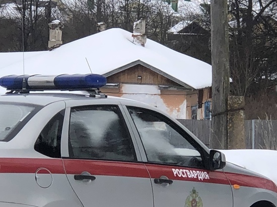 Правоохранители остановили драку в Вытегре