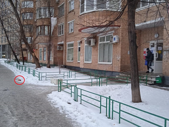 К почтовому отделению в центре Москвы подкинули сердце