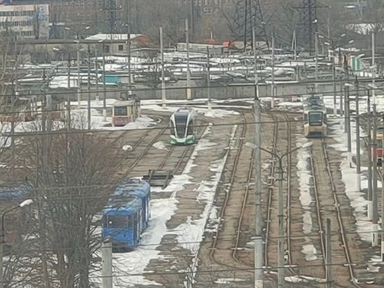 В Курск прибыл новый трамвай «Львёнок»