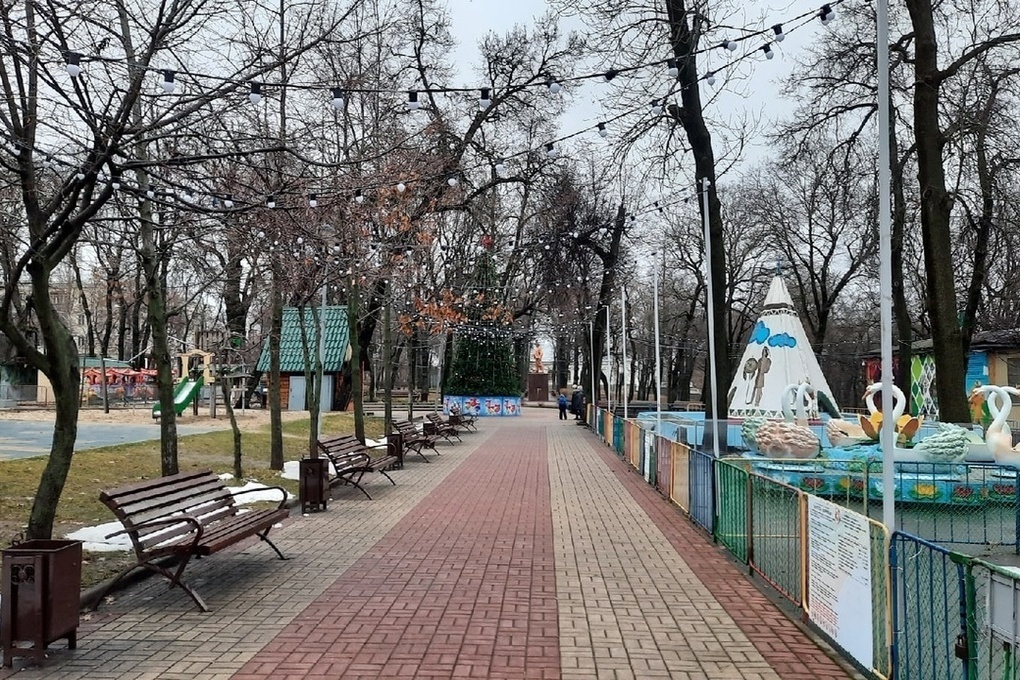 Общественная липецка