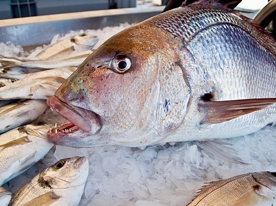 В рыбной промышленности Заполярья создали 850 новых рабочих мест за два года