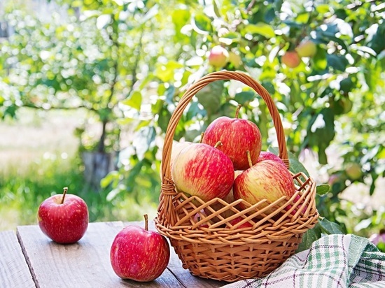 Как правильно мыть яблоки: воды из крана недостаточно