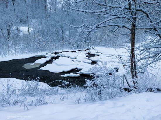 Река Лососинка вновь может «взбунтоваться» в Петрозаводске