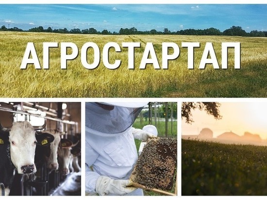 В Хакасии объявлен приём заявок на гранты «Агростартап»