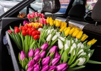 Желтые тюльпаны стали самыми популярными цветами на 8 Марта в 2023 году в Новосибирске