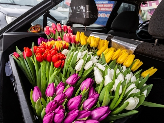 Названы самые популярные цвета тюльпанов к 8 Марта в Новосибирске