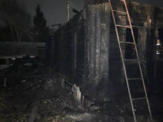 В Пензенской области в пожаре погиб пенсионер