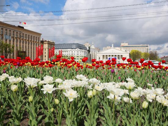 12 парков и скверов благоустроят в Воронеже в 2023 году