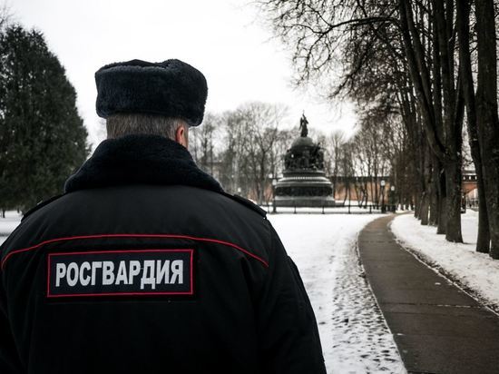 В Новгородской области за неделю Росгвардия совершила 232 выезда