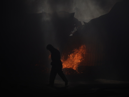 «Все горит, и бегают собаки»: как спасали из огня обитателей приюта для животных в Ленобласти