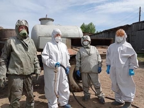В Костромской области принимаются меры по предотвращению распространения АЧС