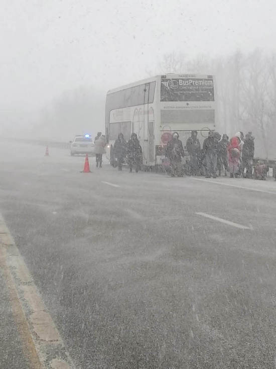 В Воронежской области в пургу на трассе застряли 65 пассажиров поломанного междугороднего автобуса