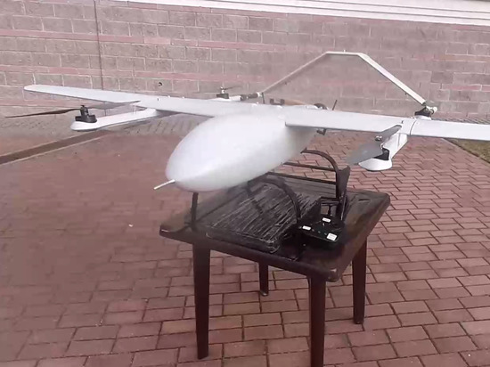 Белорусские пограничники задержали операторов БПЛА на границе с Польшей