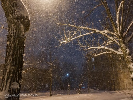 Снегопады с метелью нагрянут в Карелию на 8 Марта