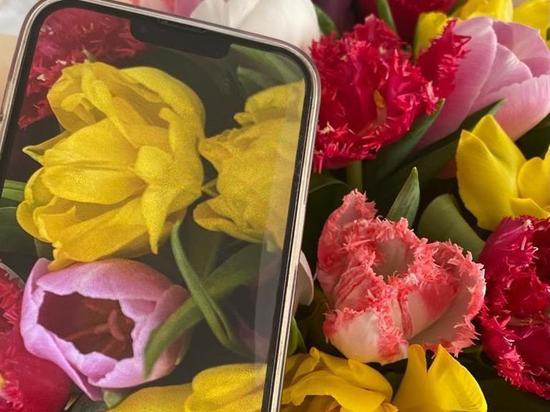 Топ самых желанных подарков на Ставрополье 8 Марта возглавляют смартфоны