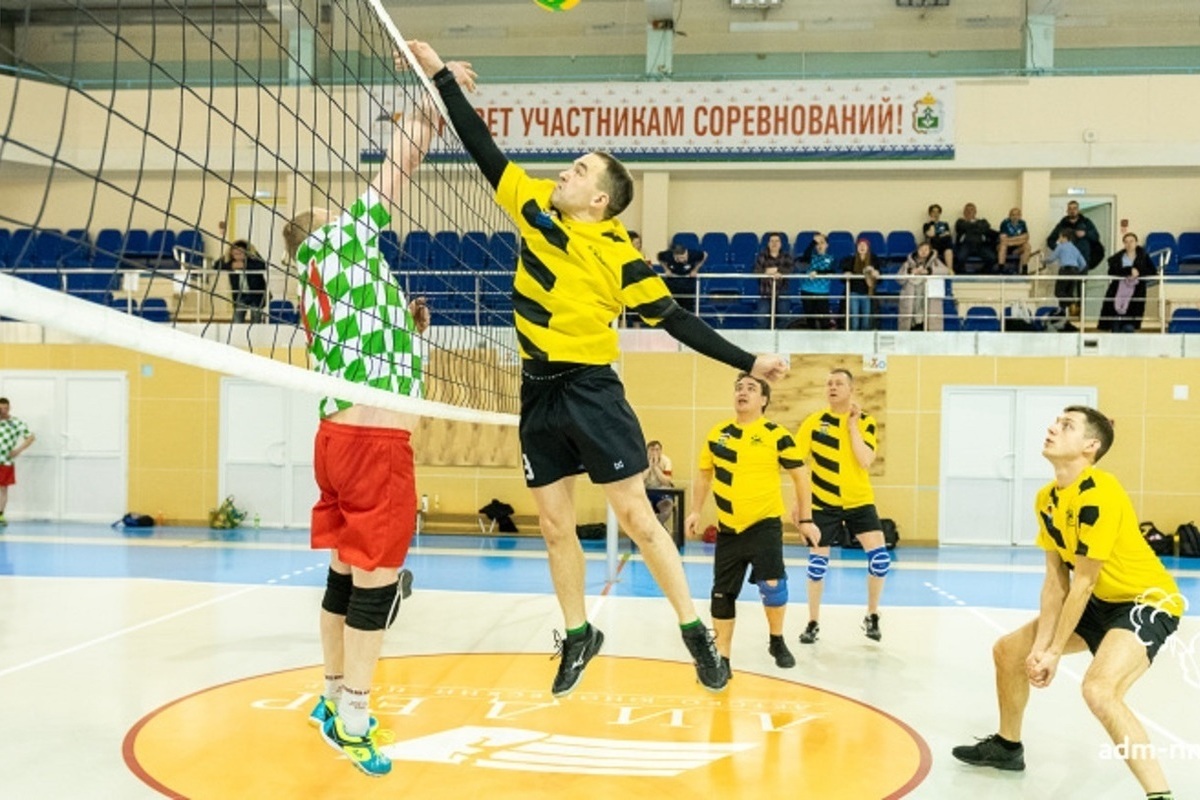The Cup of the head of the city in volleyball went to the Naryan-Mar ATP
