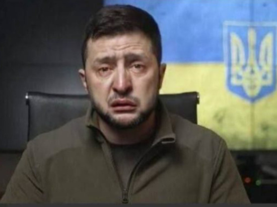  Киев решил не отвечать Лукашенко на «Зеленского-гниду»