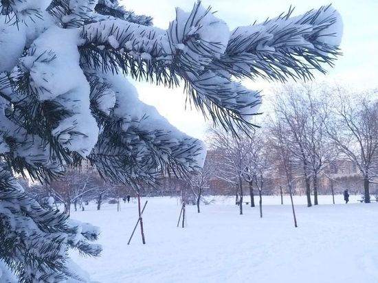 Морозы до -18 градусов ударят в Ленобласти 8 марта