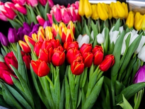 Томский флорист рассказала, как продлить жизнь цветам, подаренных на 8 марта