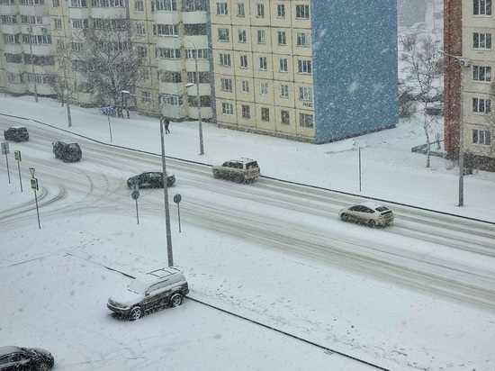 Снежный циклон обрушился на юг Сахалина 8 марта