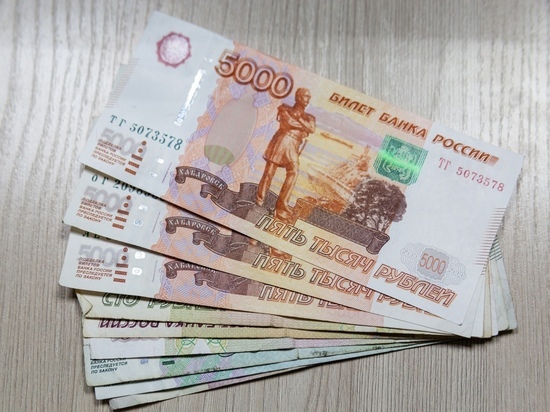 Инвестпроекты на 1,6 млн рублей прекратили в Новосибирской области