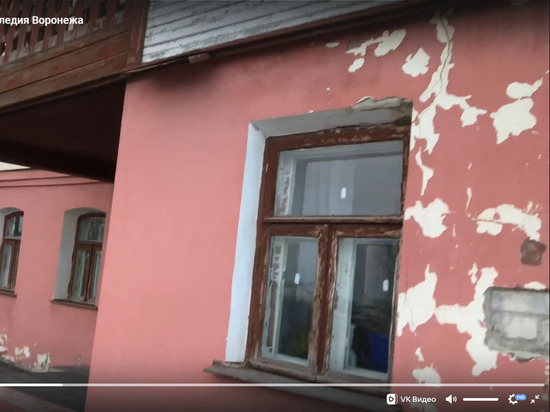 Воронежским властям предложили ознакомиться с устрашающим видео о разрушающемся доме-музее Дурова