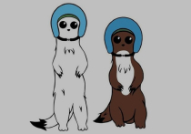 Горностаи стали лидерами общественного голосования в Италии, в ходе которого выбирали официальный талисман зимних Олимпийских игр 2026 года в Милане