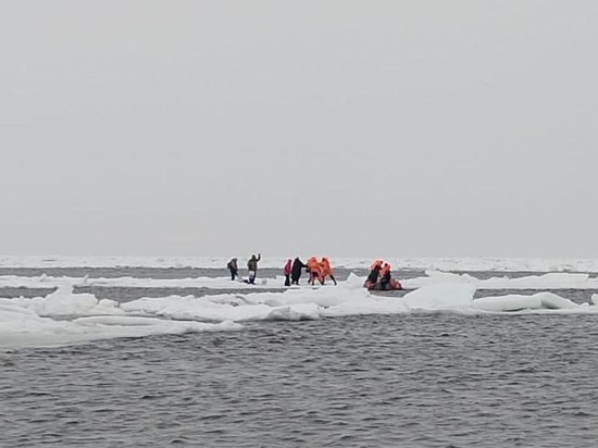 Сотрудники МЧС спасли с оторвавшейся льдины шестерых взрослых и ребенка на Курилах