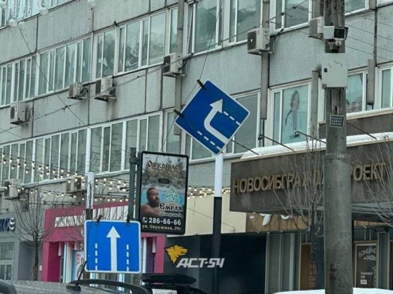 Дорожные знаки сорвало порывами ветра в Новосибирске